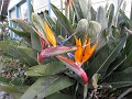 Carpinteria California 2010-02 0410